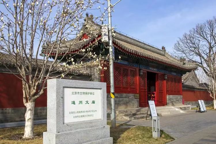 ​书法征启：孔子诞辰百幅《论语》章句书法展